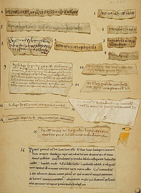 Es sind verschiedene Reliquienauthentiken zu sehen. Ein Dokument, auf dem viele kleine alte Dokumente mit Schrift versammelt sind.